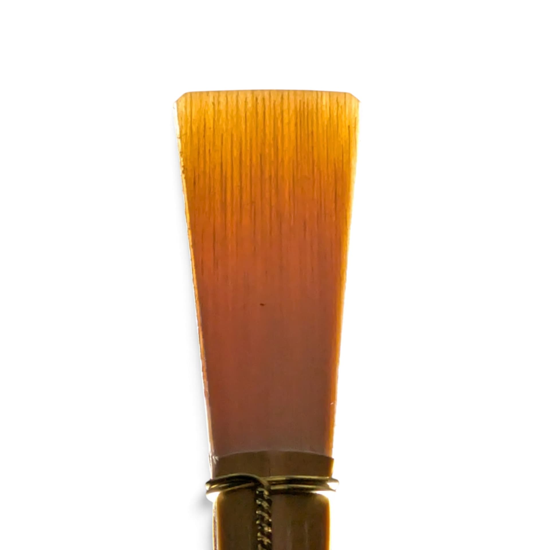 Sunshine Contra Bassoon Reed