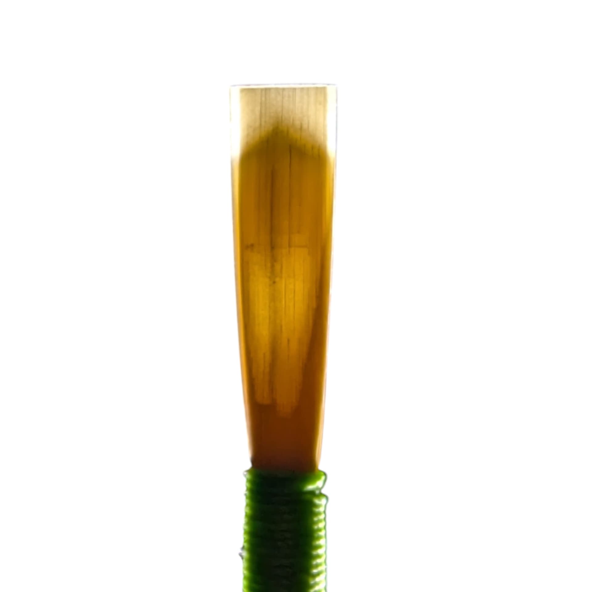 Hand Made Student Blue Ridge Oboe Reed