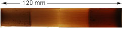 Bonazza Gouged and Profiled Bassoon Cane