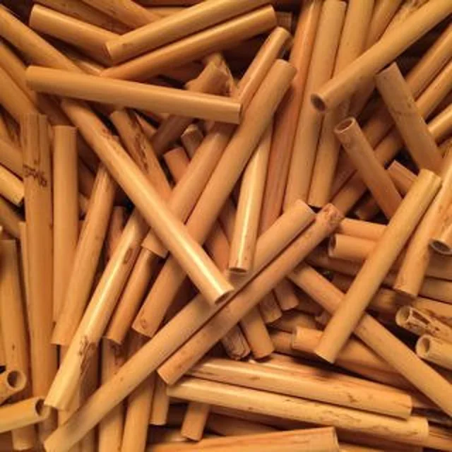 Cane