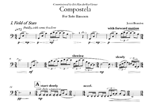 Jenni Brandon: Compostela for Solo Bassoon