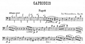 Julius Weissenborn: Capriccio Op 14
