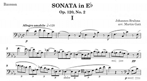 Johannes Brahms: Sonata in Eb, Op. 120 No. 2