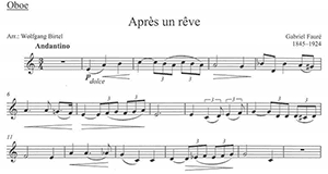 Gabriel Fauré: Après Un Rêve