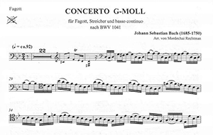 J.S. Bach: Concerto in G minor BWV 1041