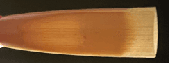 Hand Made Professional Blue Ridge Oboe Reed