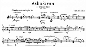 Meera Gudipati: Ashakiran