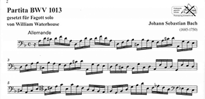 J.S. Bach: Partita in D minor BWV 1013