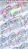 Spiral Note Pad