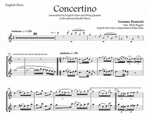 Gaetano Donizetti: Concertino in F for English Horn