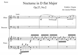 Frederic Chopin: Nocturne in Db Major Op. 27 No. 2
