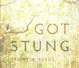 Got Stung