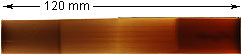 Rigotti Gouged and Profiled Bassoon Cane