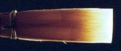 Albion Gold Label English Horn Reed
