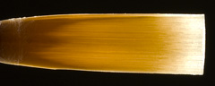 Forrests Green Label Oboe Reeds