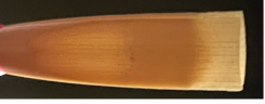 Hand Made Professional Blue Ridge Oboe Reed