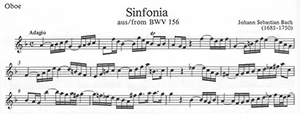 J.S. Bach: The Most Beautiful Church Cantatas