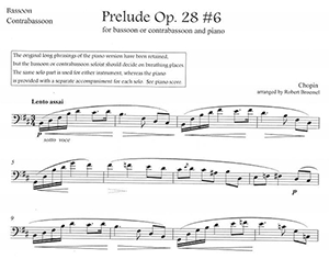 Frederic Chopin: Prelude in B minor Op. 28, No. 6