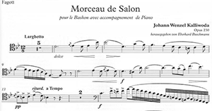 Johann Wenzel Kalliwoda: Morceau de Salon op. 230