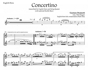 Gaetano Donizetti: Concertino in F for English Horn