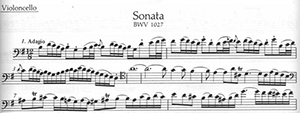 JS Bach: Three Sonatas for Violoncello and Harpsichord