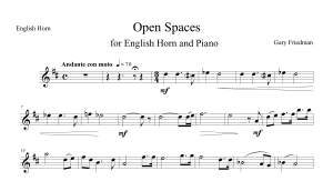 Gary Friedman: Open Spaces