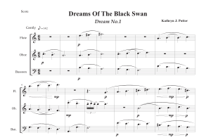 Kathryn Potter: Dreams of the Black Swan