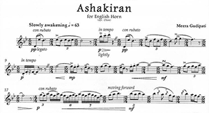 Meera Gudipati: Ashakiran