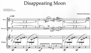 Damian Montano: Disappearing Moon