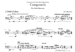 Jenni Brandon: Compostela for Solo Bassoon