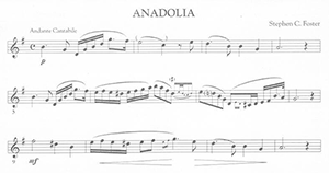 Stephen Foster: Anadolia