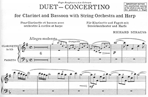 Richard Strauss: Duet-Concertino