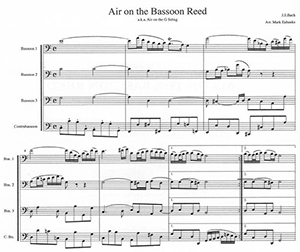 Air on the Bassoon Reed