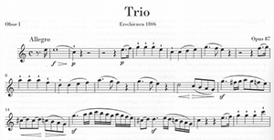 Ludwig van Beethoven: The Two Ob/EH Trios