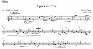 Gabriel Fauré: Après Un Rêve